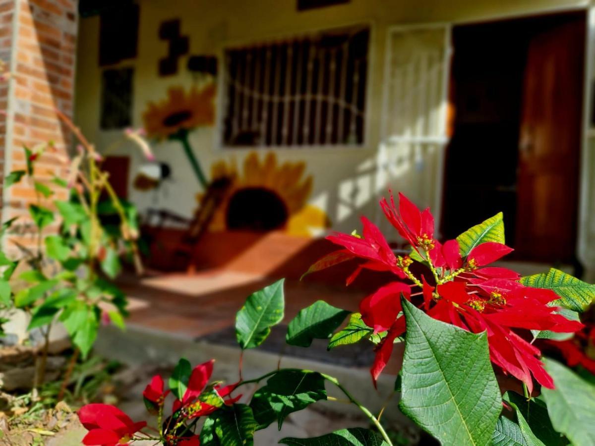 Estacion Biologica Aguali Hostel Matagalpa Bagian luar foto